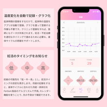 画像をギャラリービューアに読み込む, フェルティズム温度計